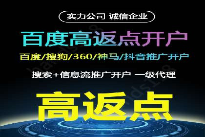 搜索引擎营销（SEM）托管服务在某企业的成功应用